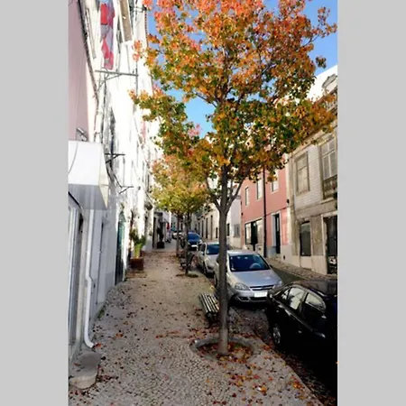 公寓 Charming Duplex At Alfama